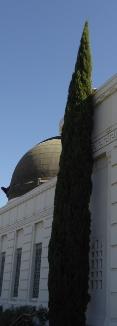 Griffith-Observatorium. Foto A.A.Bispo 2016. Copyright