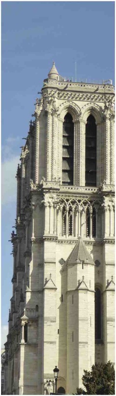 Notre Dame de Paris. Foto A.A.Bispo 2017. Copyright