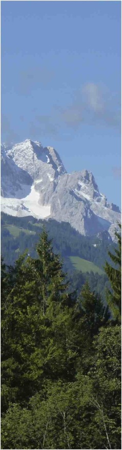 Alpes. Foto A.A.Bispo 2017. Copyright