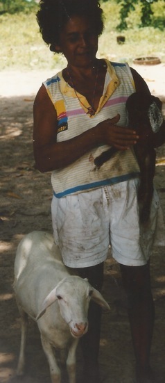 Roraima. Foto A.A.Bispo 1993. Copyright