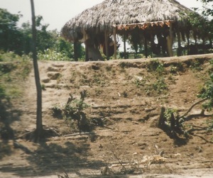 Roraima. Foto A.A.Bispo 1993. Copyright